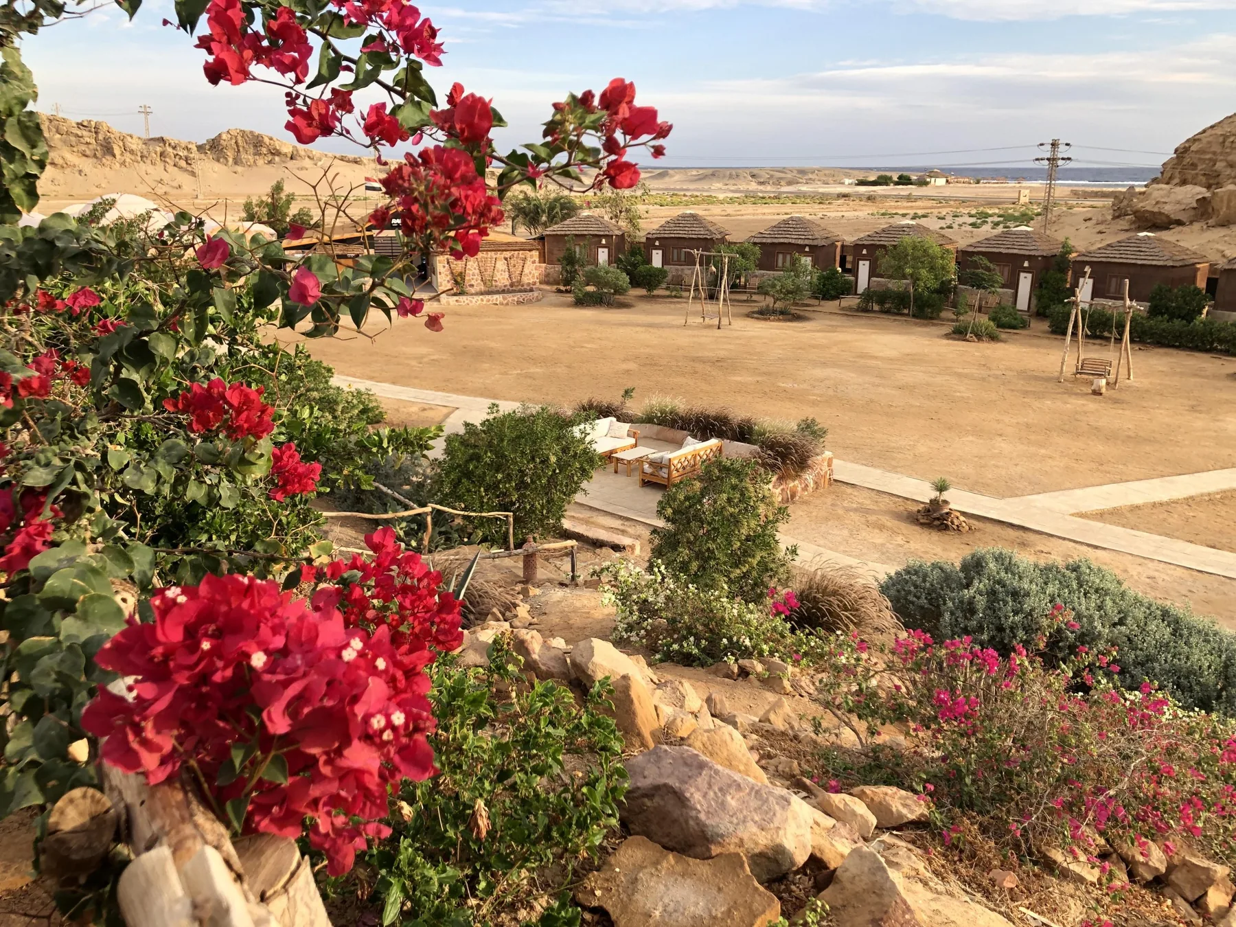 Gardens and accommodation at Roots Red Sea with the desert and sea beyond